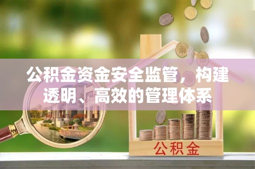 泸定公积金资金安全监管，构建透明、高效的管理体系