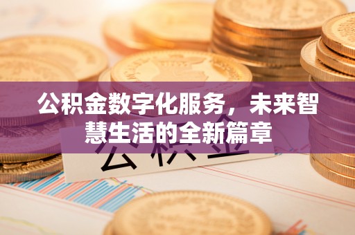 泸定公积金数字化服务，未来智慧生活的全新篇章