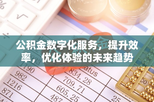 泸定公积金数字化服务，提升效率，优化体验的未来趋势