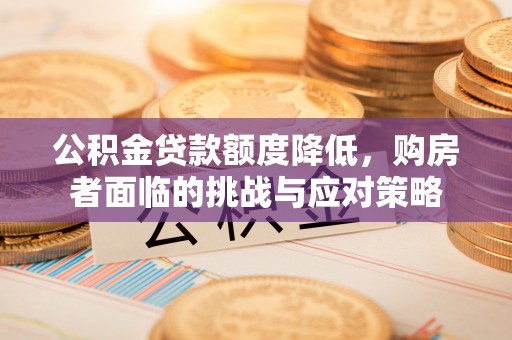 泸定公积金贷款额度降低，购房者面临的挑战与应对策略