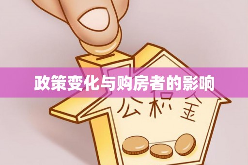 泸定政策变化与购房者的影响