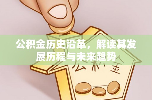 泸定公积金历史沿革，解读其发展历程与未来趋势
