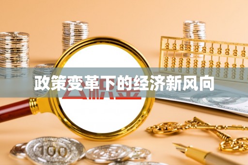 泸定政策变革下的经济新风向