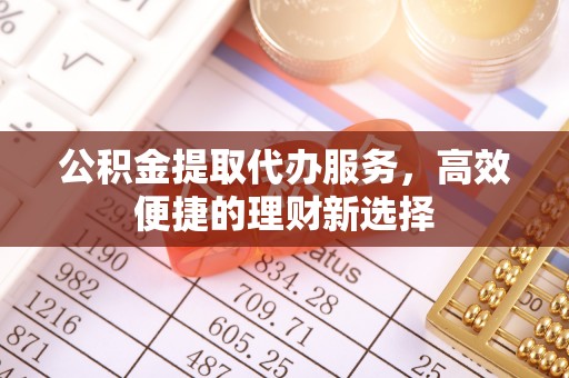 泸定公积金提取代办服务，高效便捷的理财新选择