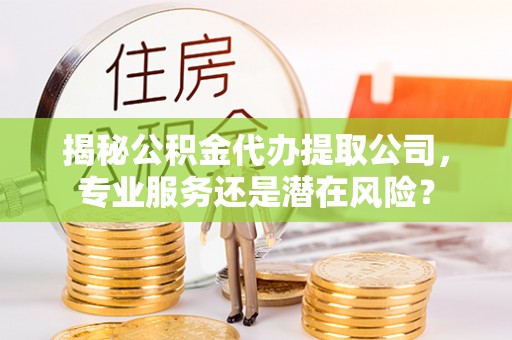泸定揭秘公积金代办提取公司，专业服务还是潜在风险？