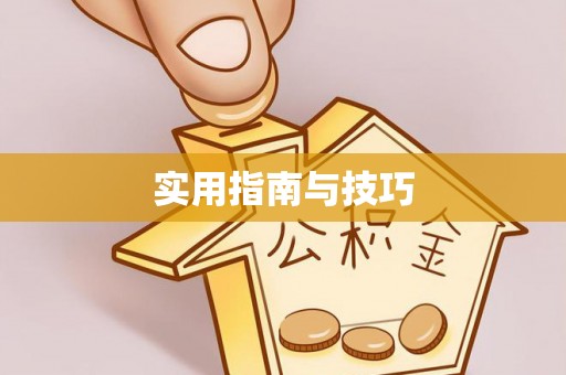 泸定实用指南与技巧