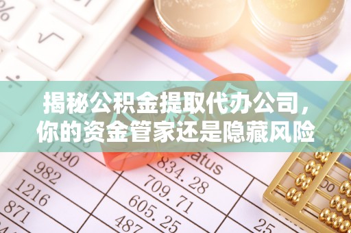 泸定揭秘公积金提取代办公司，你的资金管家还是隐藏风险？