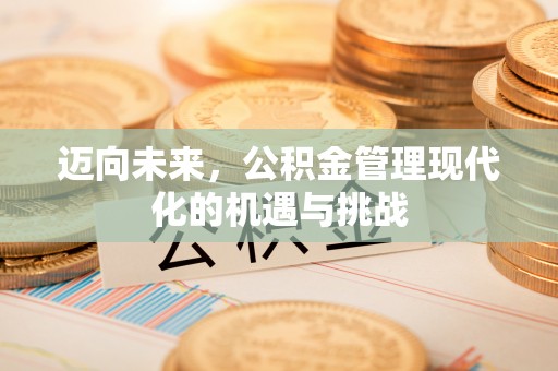 泸定迈向未来，公积金管理现代化的机遇与挑战