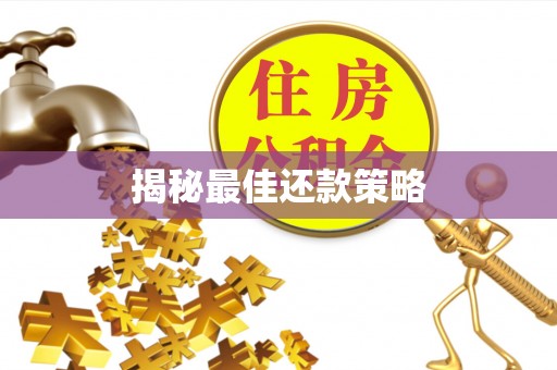 泸定揭秘最佳还款策略