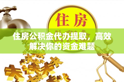 泸定住房公积金代办提取，高效解决你的资金难题