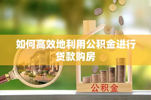 泸定如何高效地利用公积金进行贷款购房