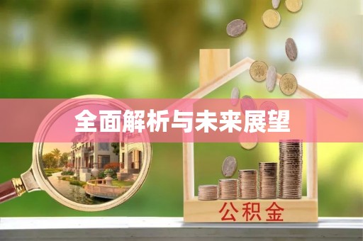 泸定全面解析与未来展望