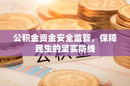 泸定公积金资金安全监管，保障民生的坚实防线