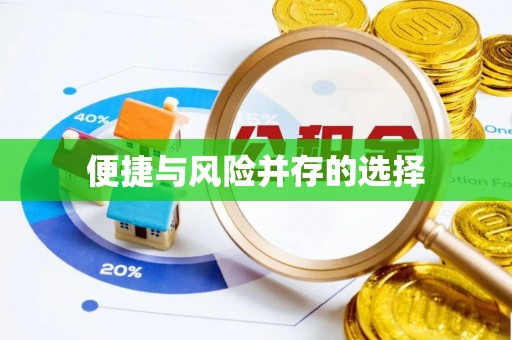 泸定便捷与风险并存的选择