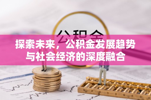 泸定探索未来，公积金发展趋势与社会经济的深度融合