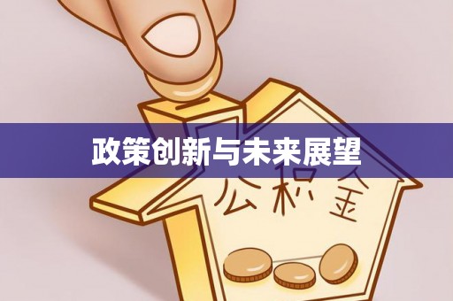 泸定政策创新与未来展望