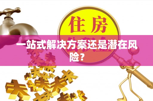 泸定一站式解决方案还是潜在风险？