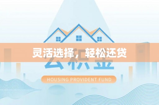 泸定灵活选择，轻松还贷